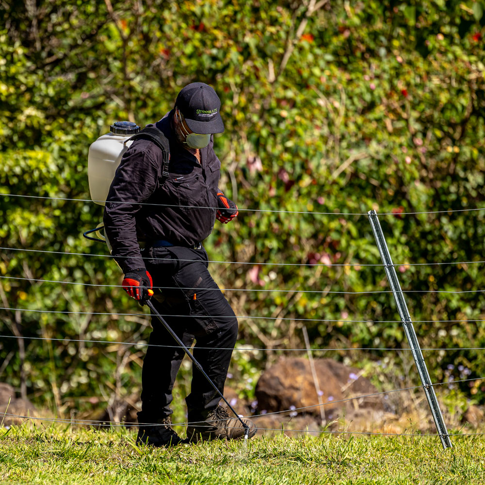 Weed Spraying Byron Bay Hinterland